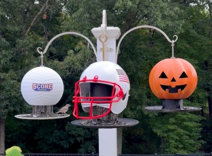 The Eagle golf ball ScoreShell, the Stars and Stripes football helmet design and the jack-o-lantern hanging on one garden pole, with a small bird feeding from the golf ball tray